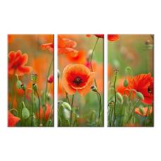 Bead Art Kit - Poppy Flower Triptych