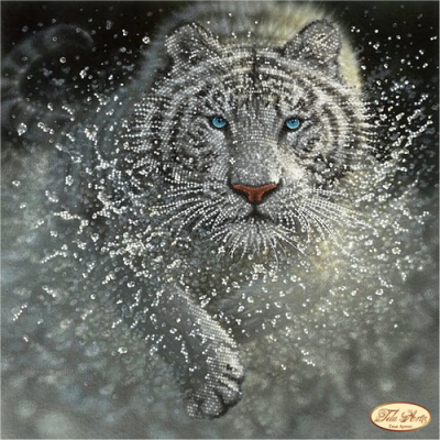 Bead Art Kit - Swift Tiger Bead Art Kit - Swift Tiger