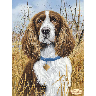 Bead Art Kit - Spaniel Bead Art Kit - Spaniel