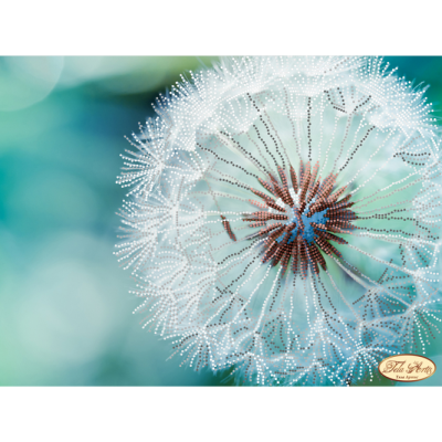 Bead Art Kit - Just a Whiff