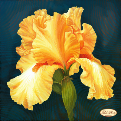 Bead Art Kit - Golden Iris