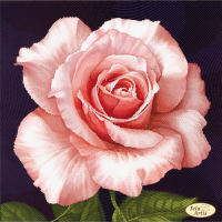 Bead Art Kit - Rose of Aphrodite