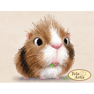 Bead Art Kit - Guinea Pig